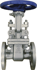 1/2" 150# RF GATE VALVE 316 RF FE