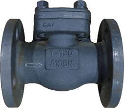 1" 150# RF Flange Check Valve, Forged Steel Body