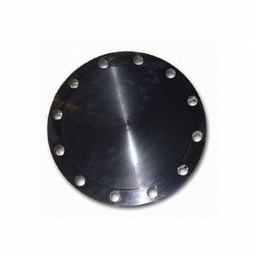 [CSBL1000TS-150] 10 " - 150 lb RF Blind Flange IMP