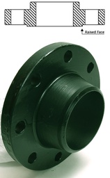 [CSWN1000TS-150] 10 " - 150 lb  Weld Neck Standard Flange